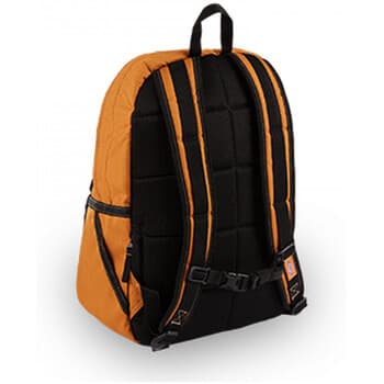 Pánský batoh Dickies Ashville backpack 2