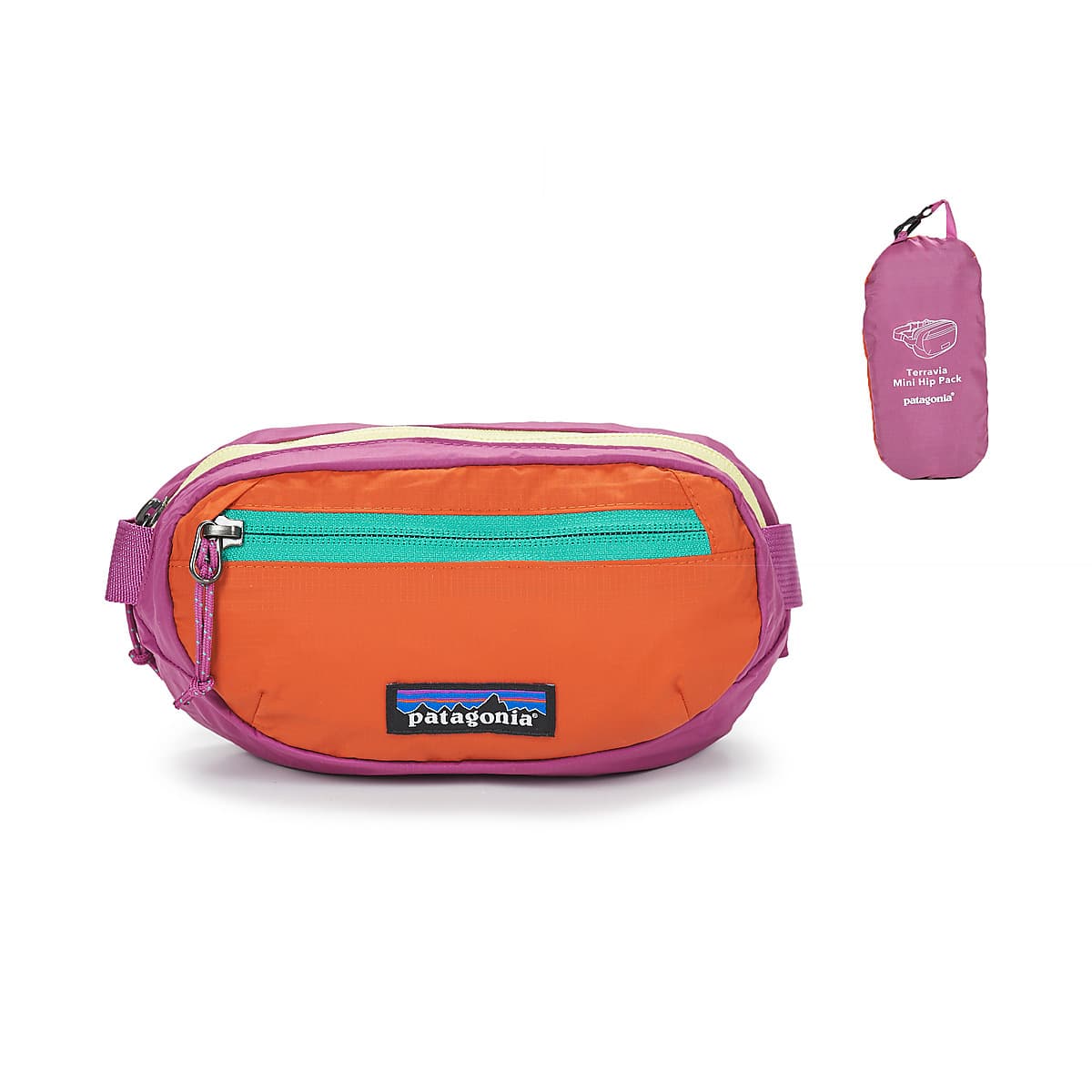 Ledvinka Patagonia Terravia Mini HIP Pack, vícebarevná