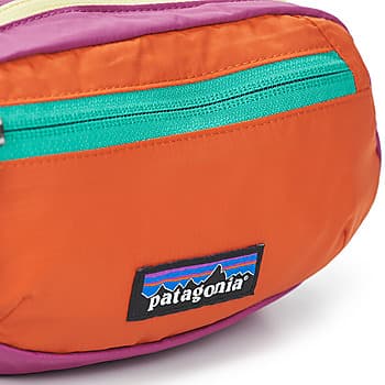 Ledvinka Patagonia Terravia Mini HIP Pack, vícebarevná 4