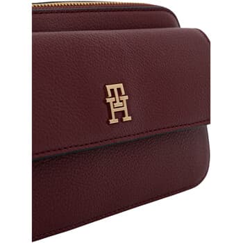 Kabelka přes rameno Tommy Hilfiger TH Icon Camera BAG AW0AW18721 4