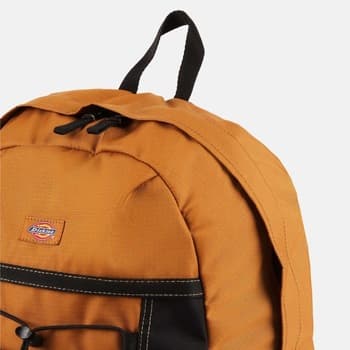 Pánský batoh Dickies Ashville Backpack 2
