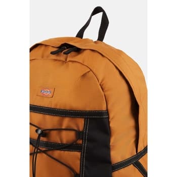 Pánský batoh Dickies Ashville Backpack 4