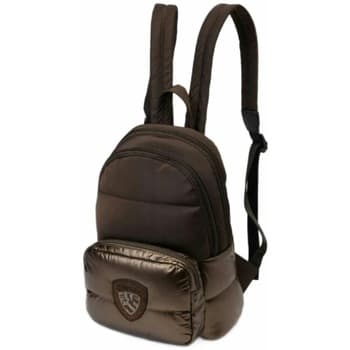 Batoh Blauer Polyester Nylon Backpack Padded, hnědá 4
