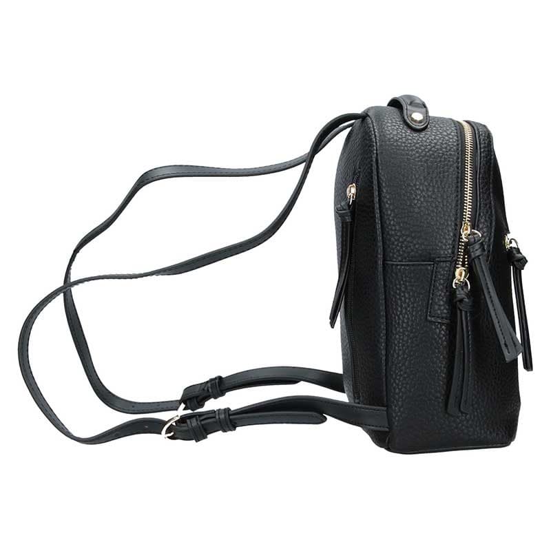 Batoh Fiorelli Alberta 5